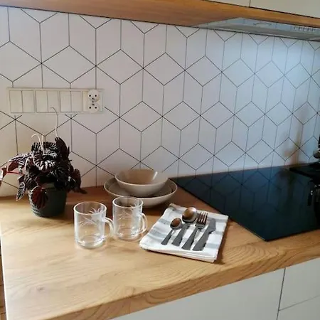 Chalet Tiny House Heated And Airconditioned